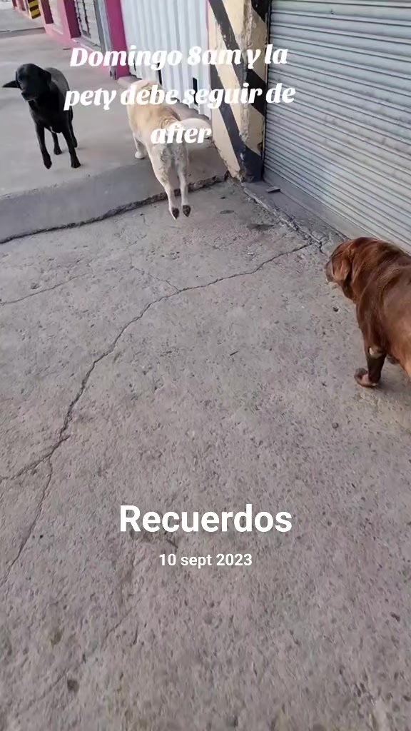 @Fabi_fole