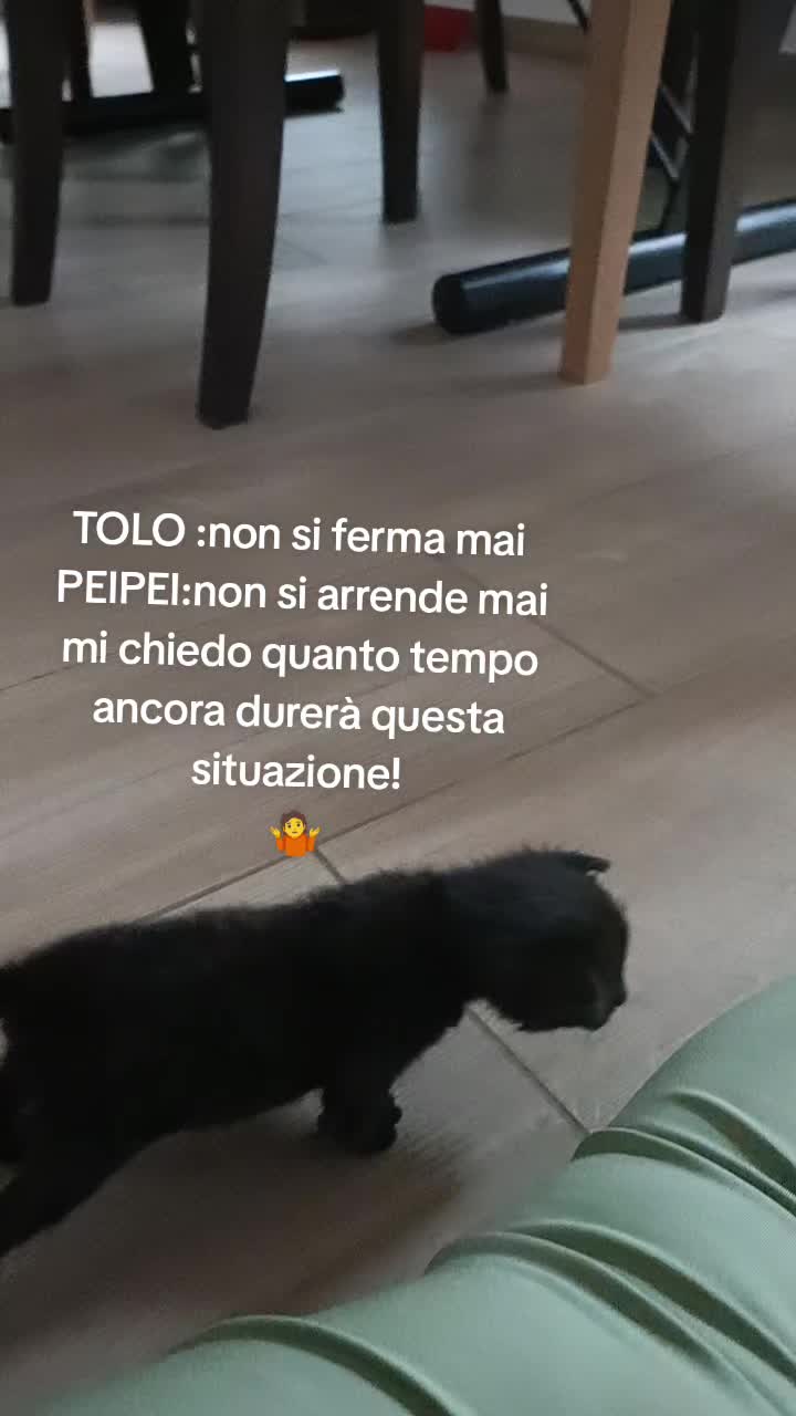 @vincenza