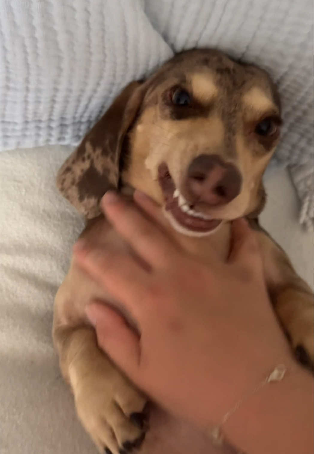 @Mel