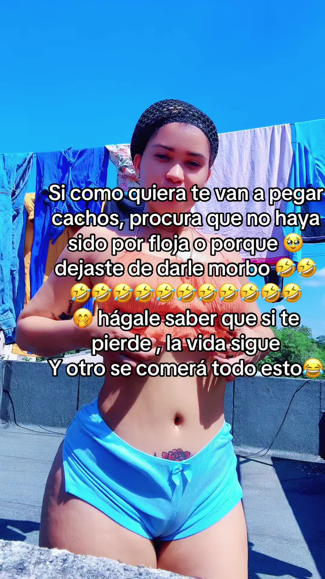 @berchevapanini