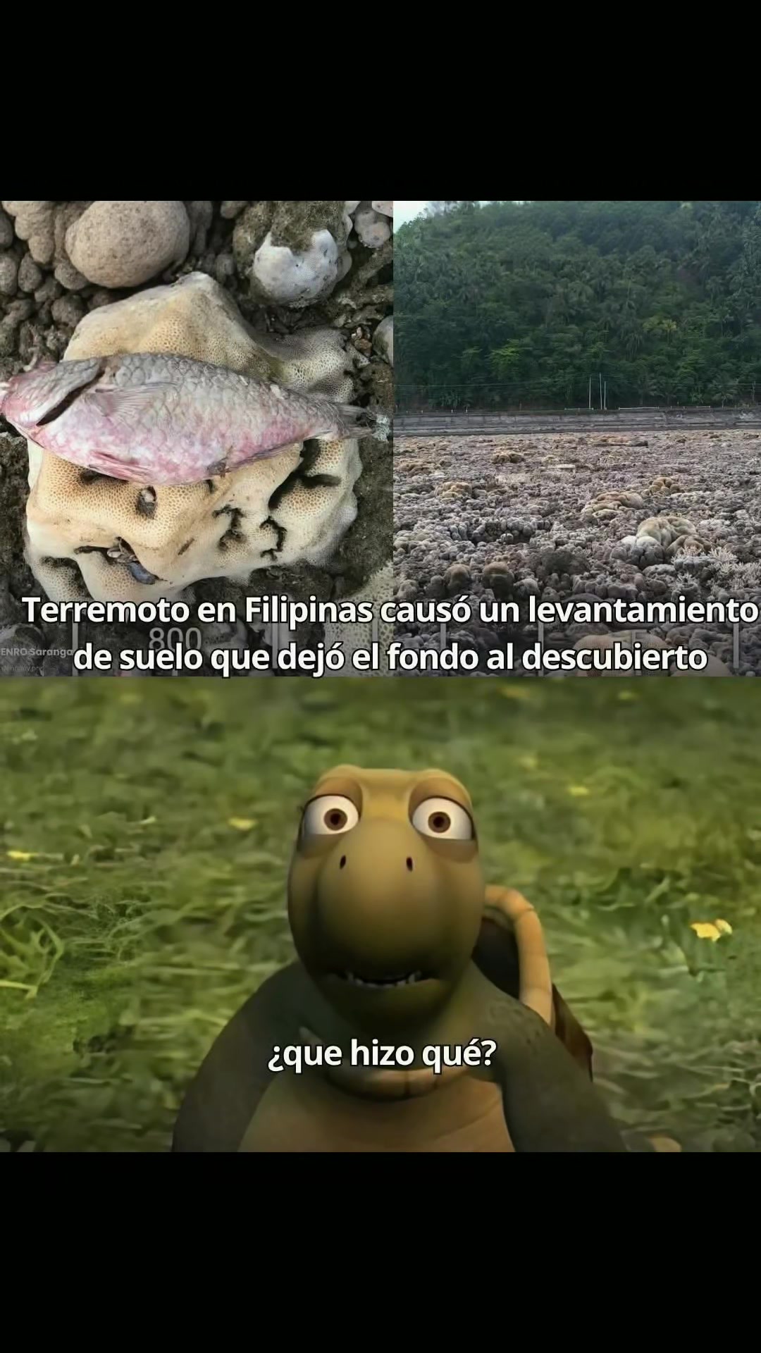 @Jcgg