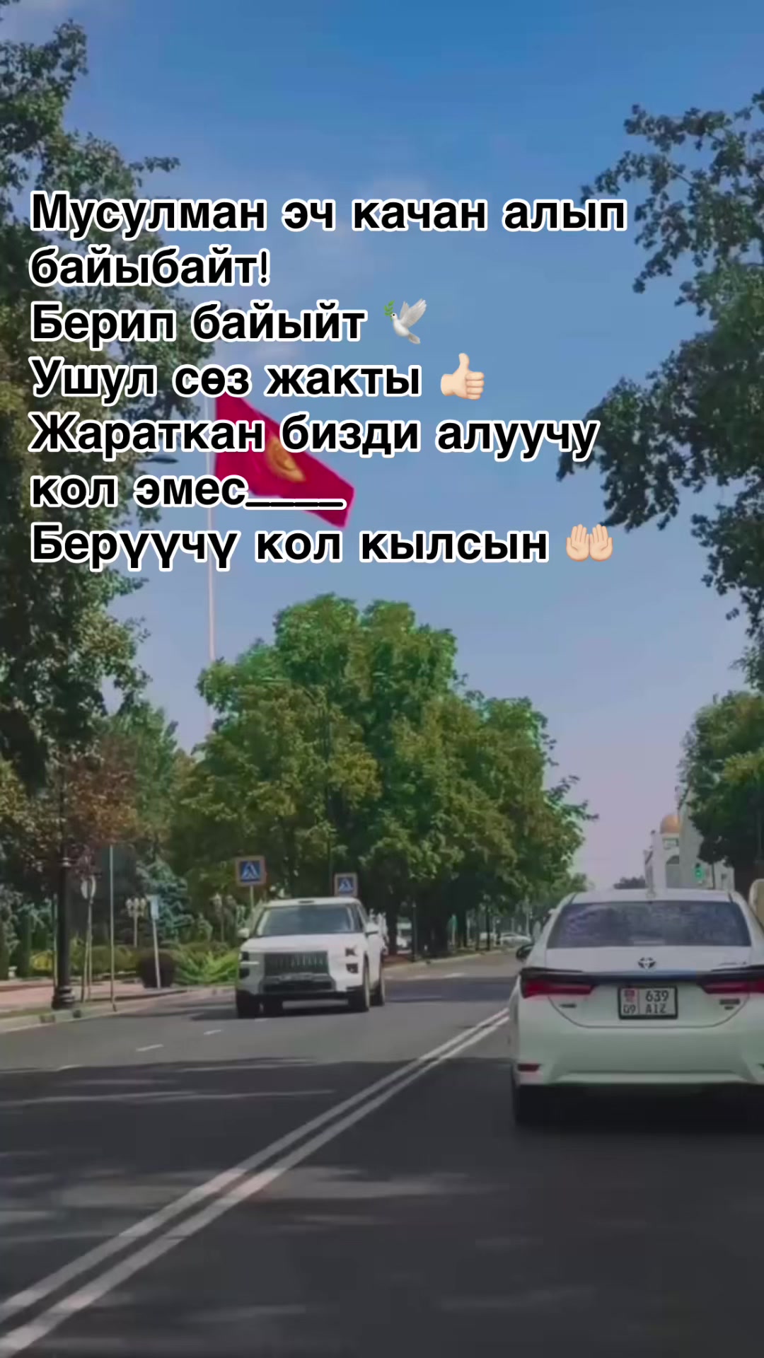 @❤️ NaRgIZ ShAh ❤️