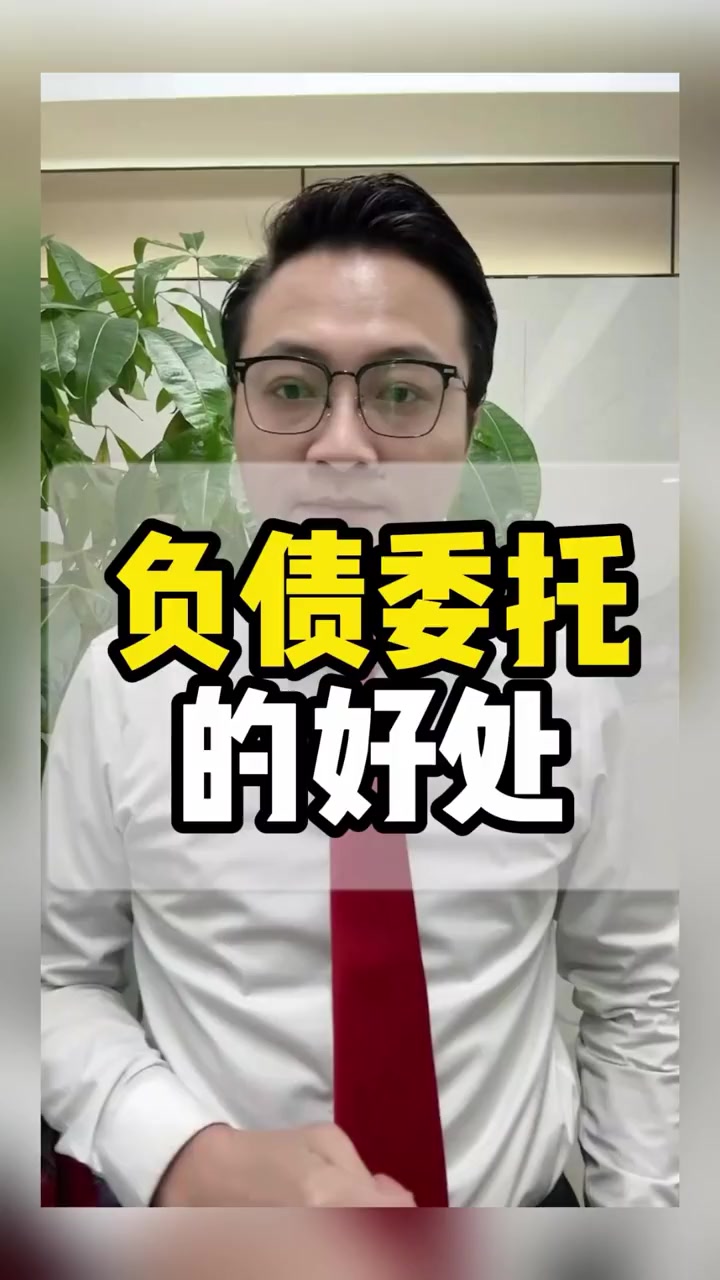 @债务优化托管延期停息挂账