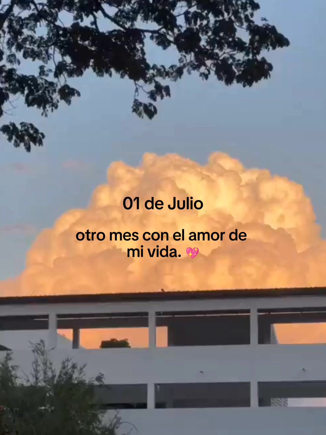 @Midnight Mood