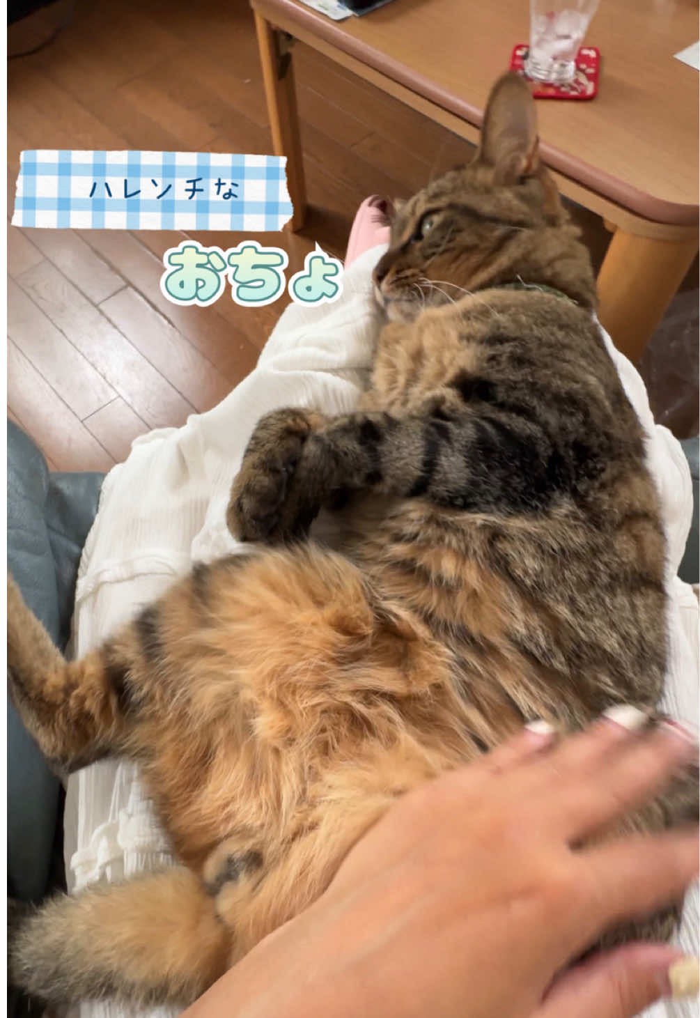 @さっことおちょ