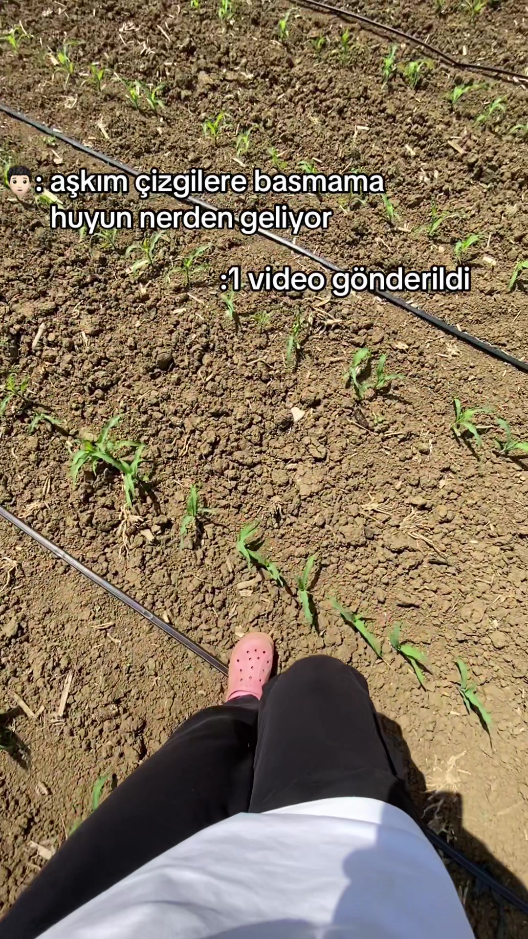 @gozde