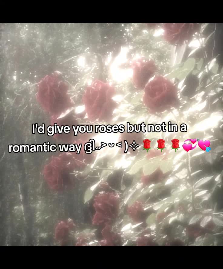 @*   ੈ✩‧₊˚*𝐴𝑥𝑒𝑙*   ੈ✩‧₊˚*