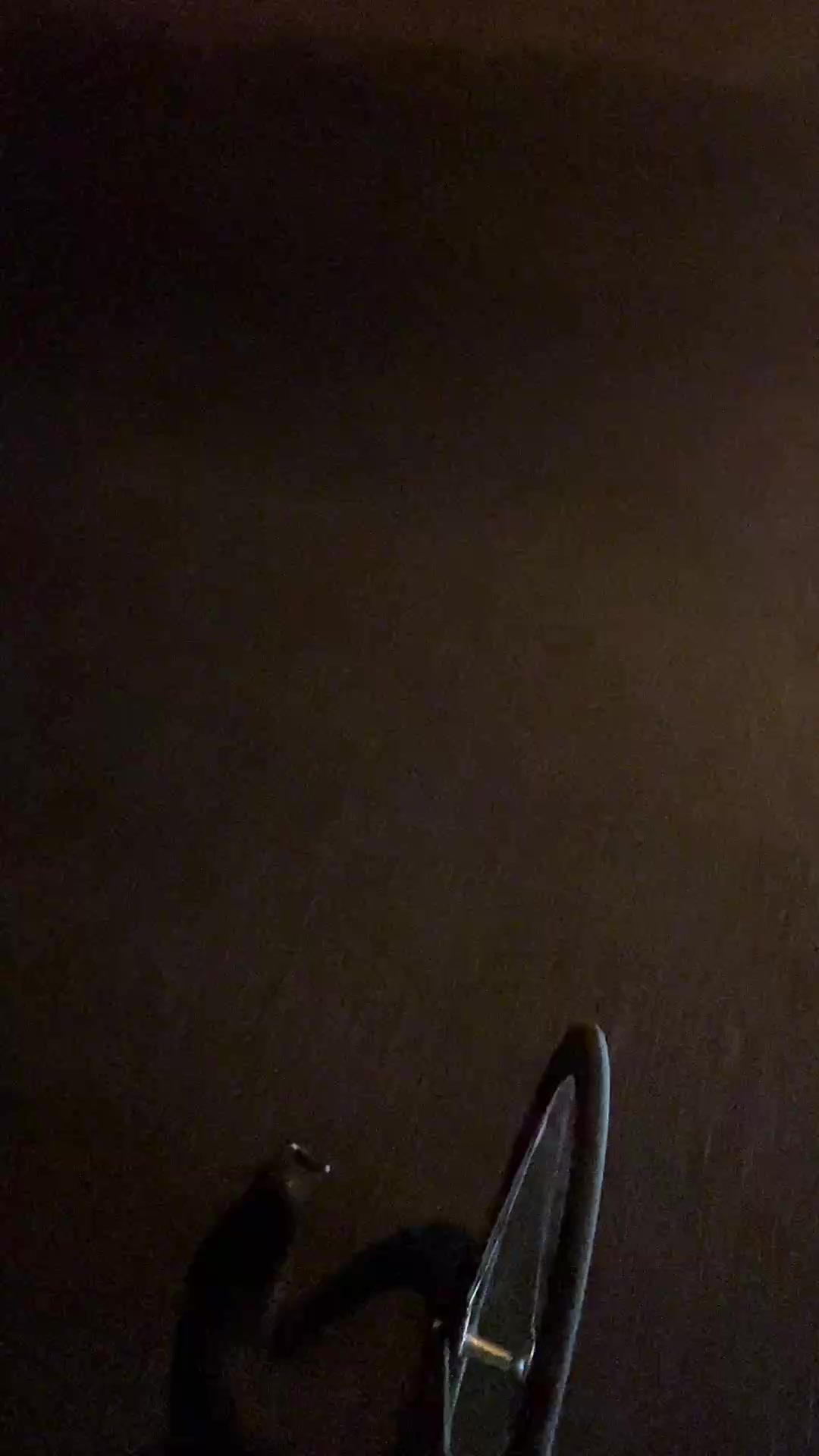 @regaa