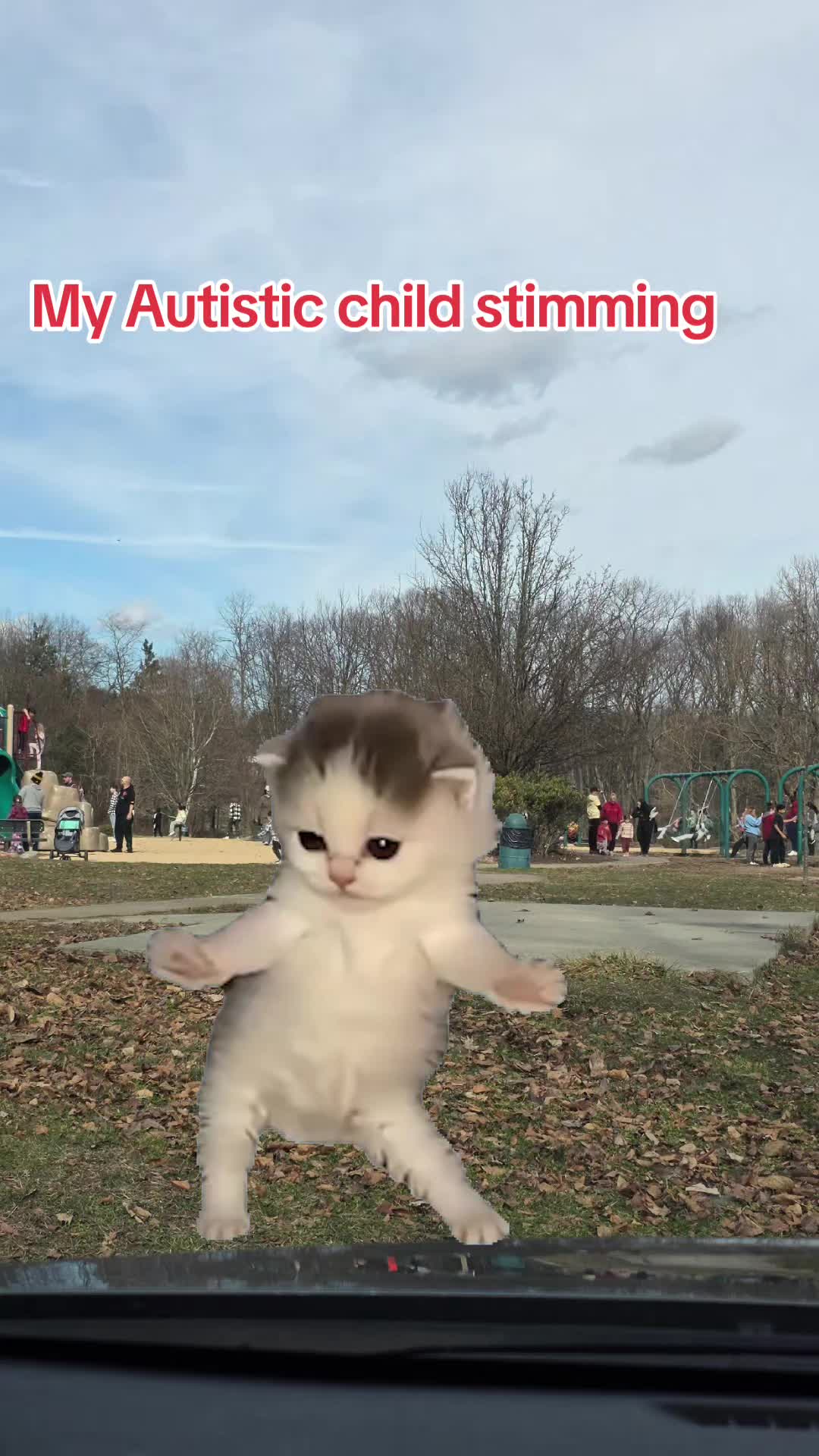 @Maskedviking