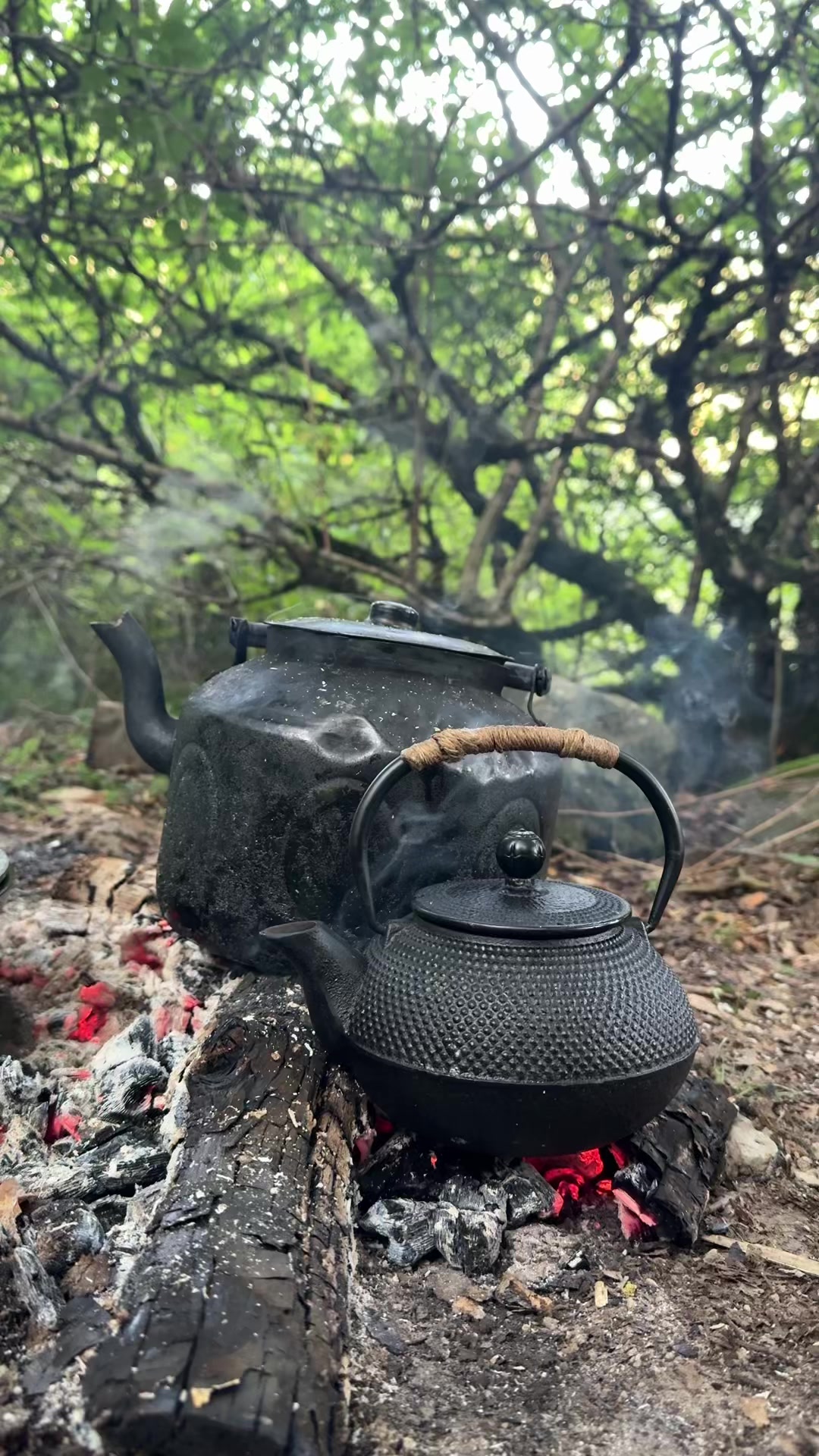 @𝐐𝐀𝐌𝐀𝐑𝐕𝐀𝐍 📍🌿