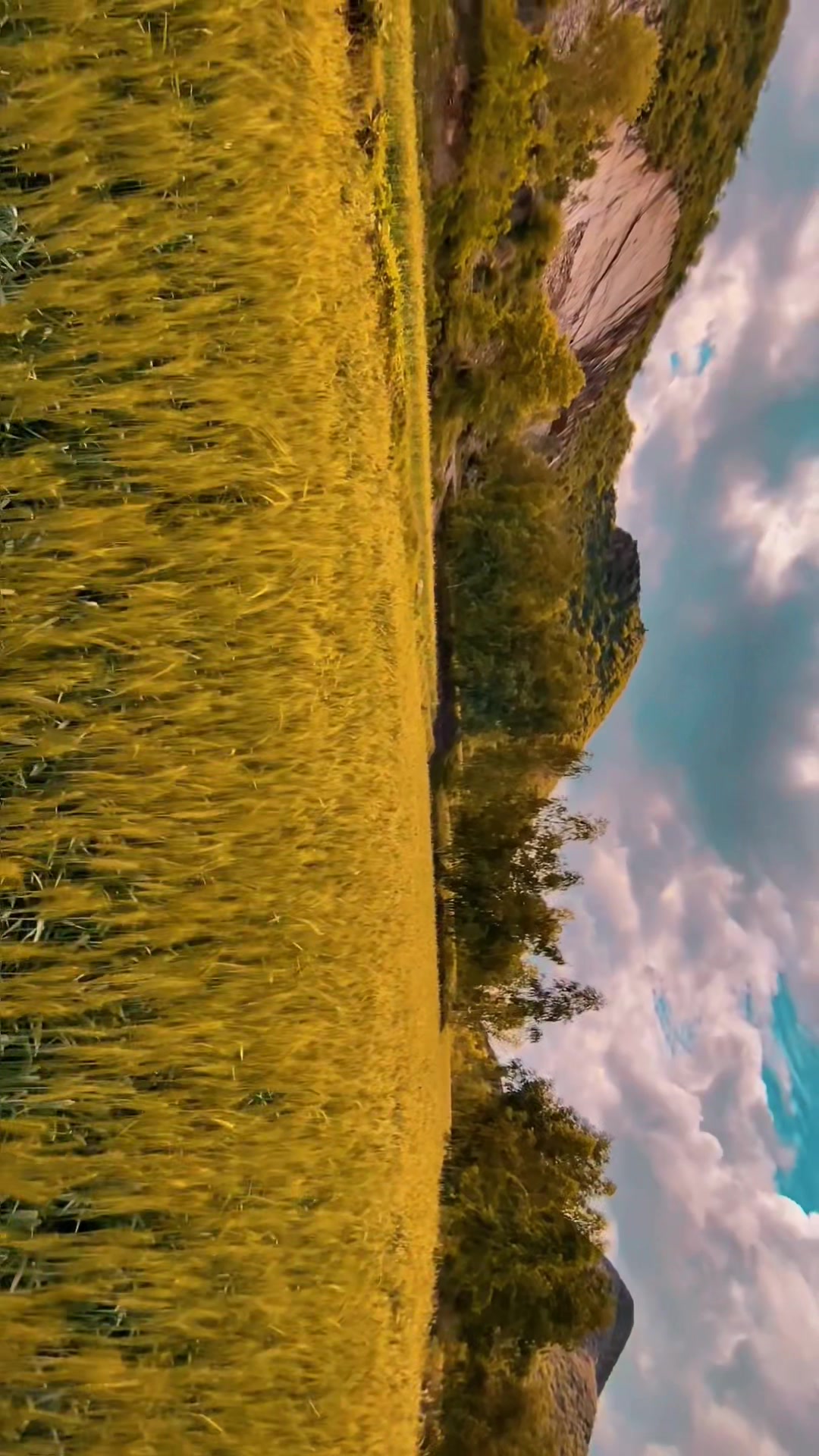 @🏔️ HᴜBʙɪ KʜAɴ 🌲