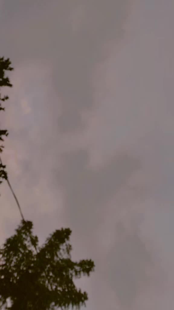 @🌺💞মায়াবতী🌺💞