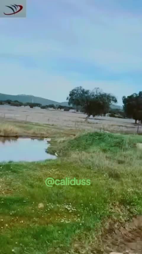 @الشاهين البحري🇲🇦