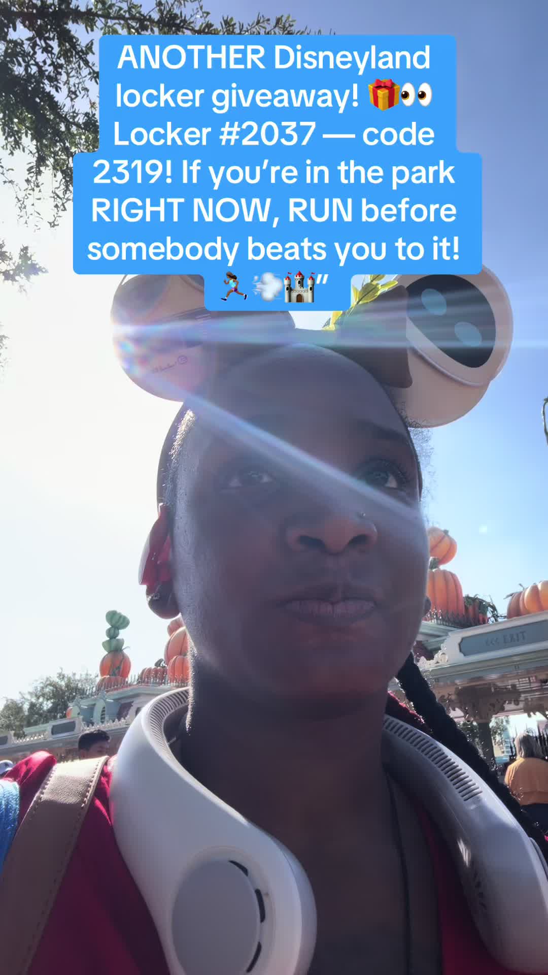 @tinarosethemeparklife