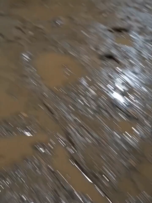 @NutsyFarm