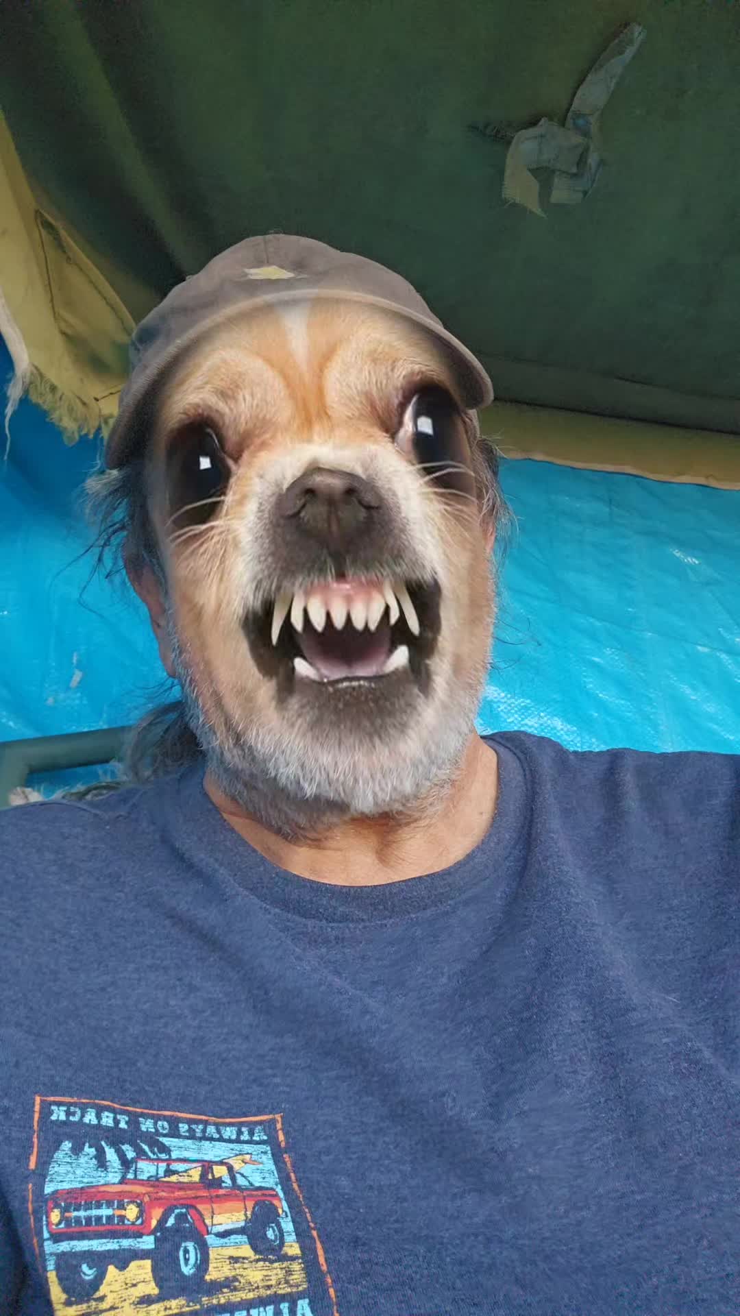 @jmarshall469