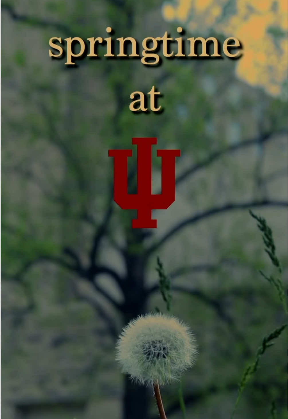 @Indiana University