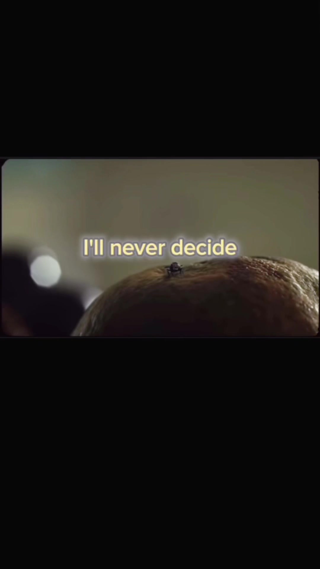 @Song Of The Day