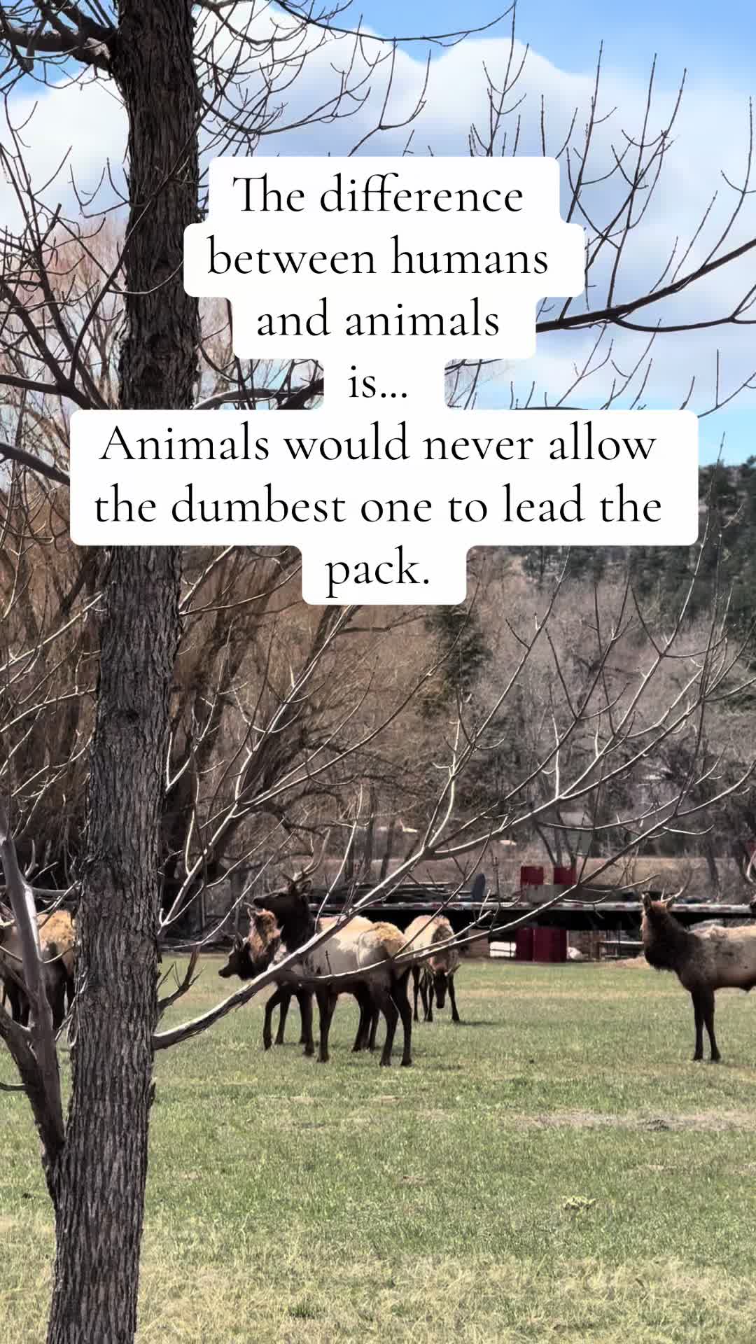 @trishaovershares
