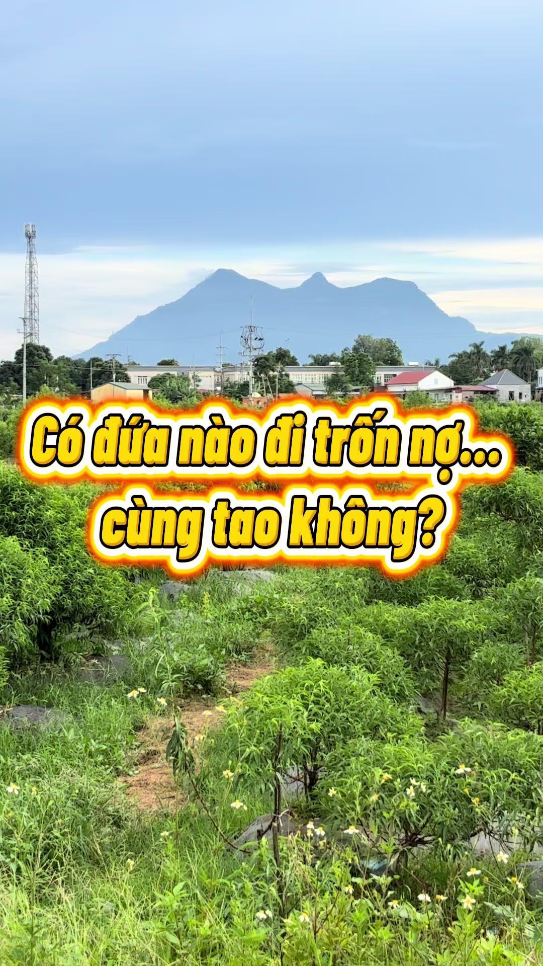 @Mquanhjhj