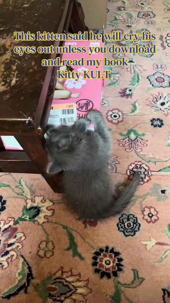 @Kitty KULT