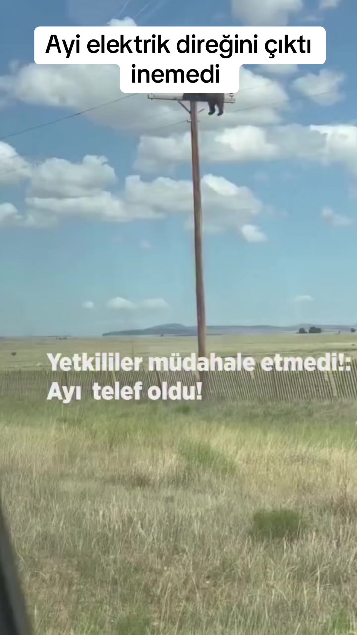 @LOSTURCOS 🇹🇷🇫🇷