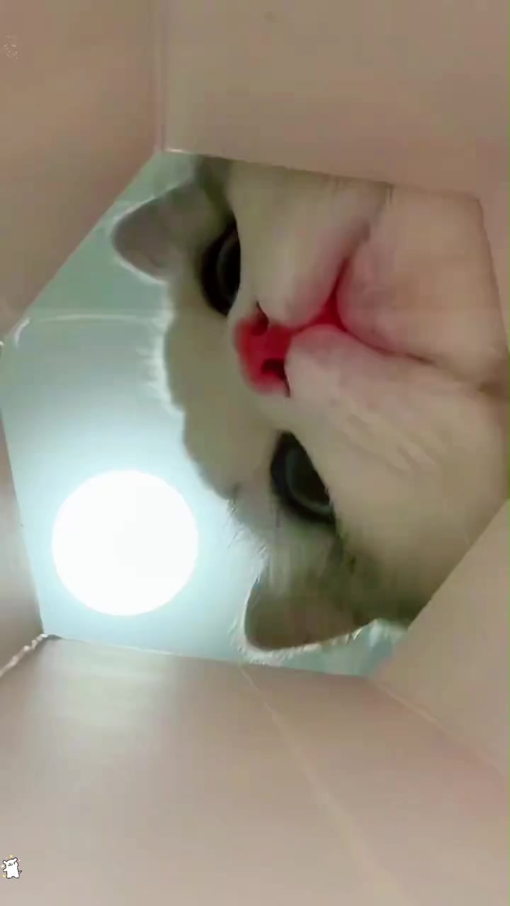 @Aini Nani