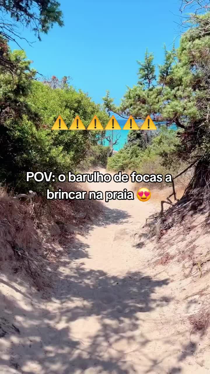 @Mundo Tuga ๐ต๐น