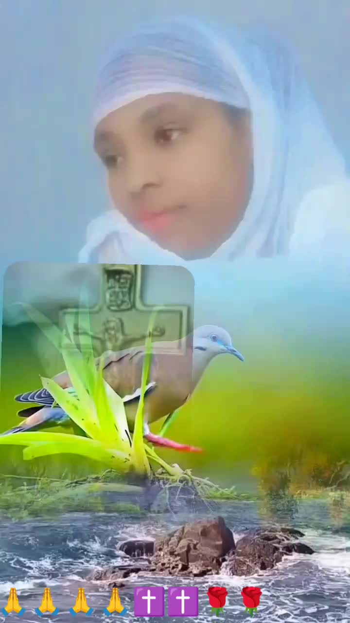 @Aster Yohanes