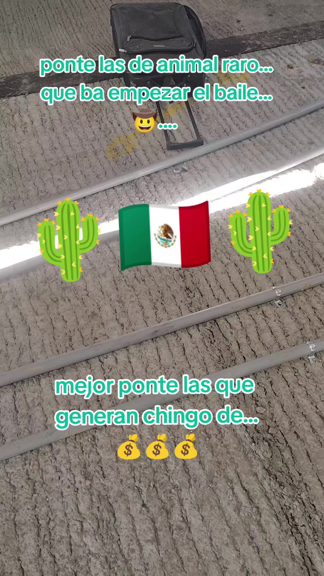 @Rivera.jr@Dallas