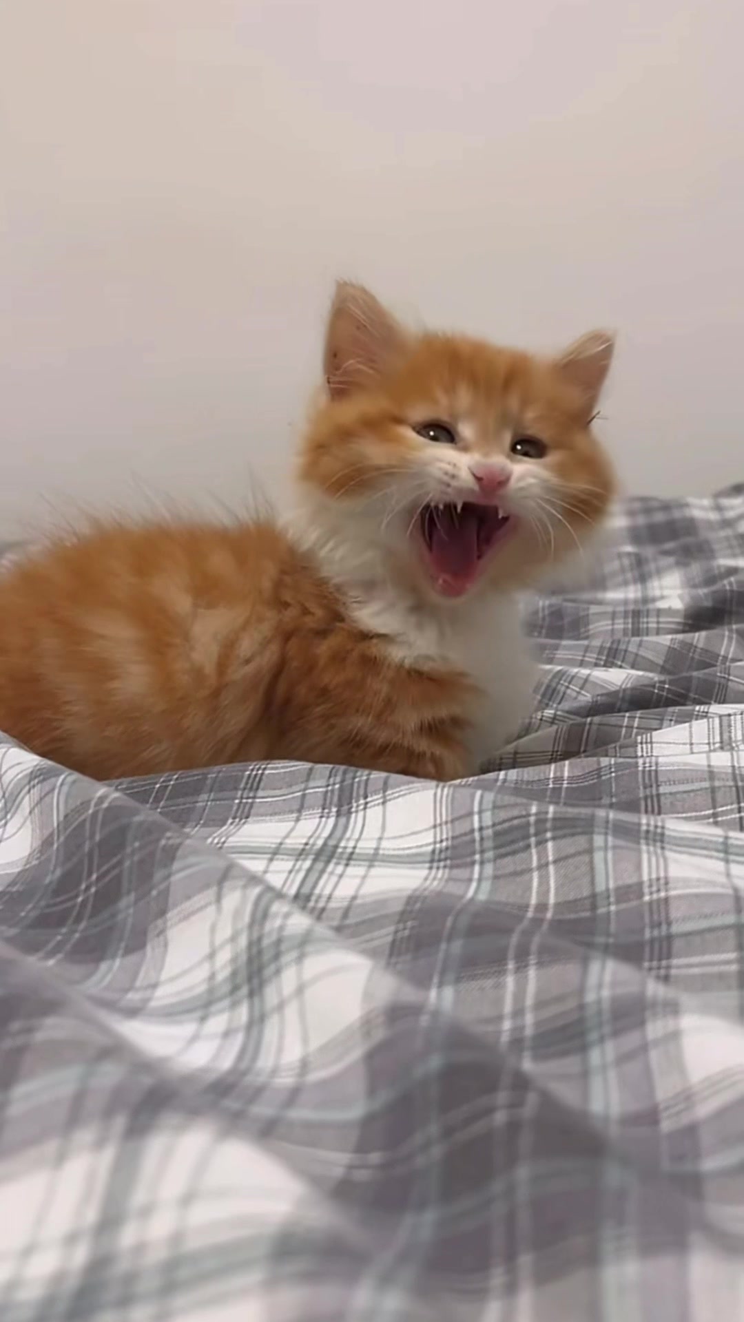 @My Daily Dose of Aww