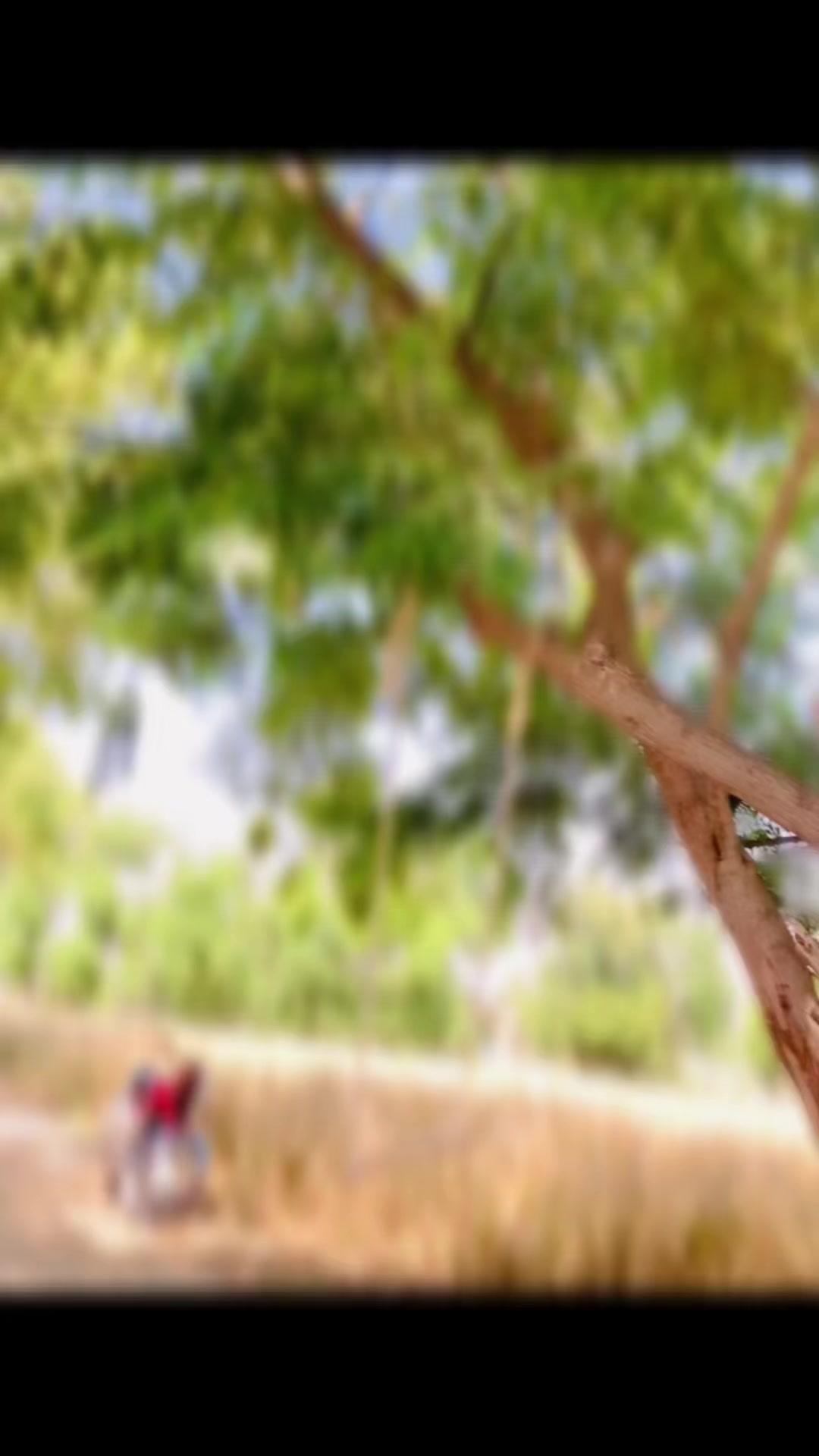 @🪷YS__yousafzia…! 🪷