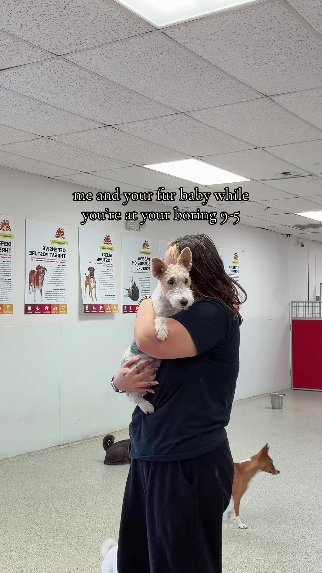 @The Dog Stop, Stuart FL๐๐พ๐