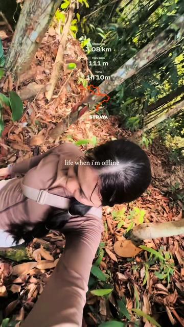 @Noyaoli