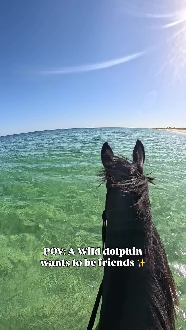 @ThunderGallops