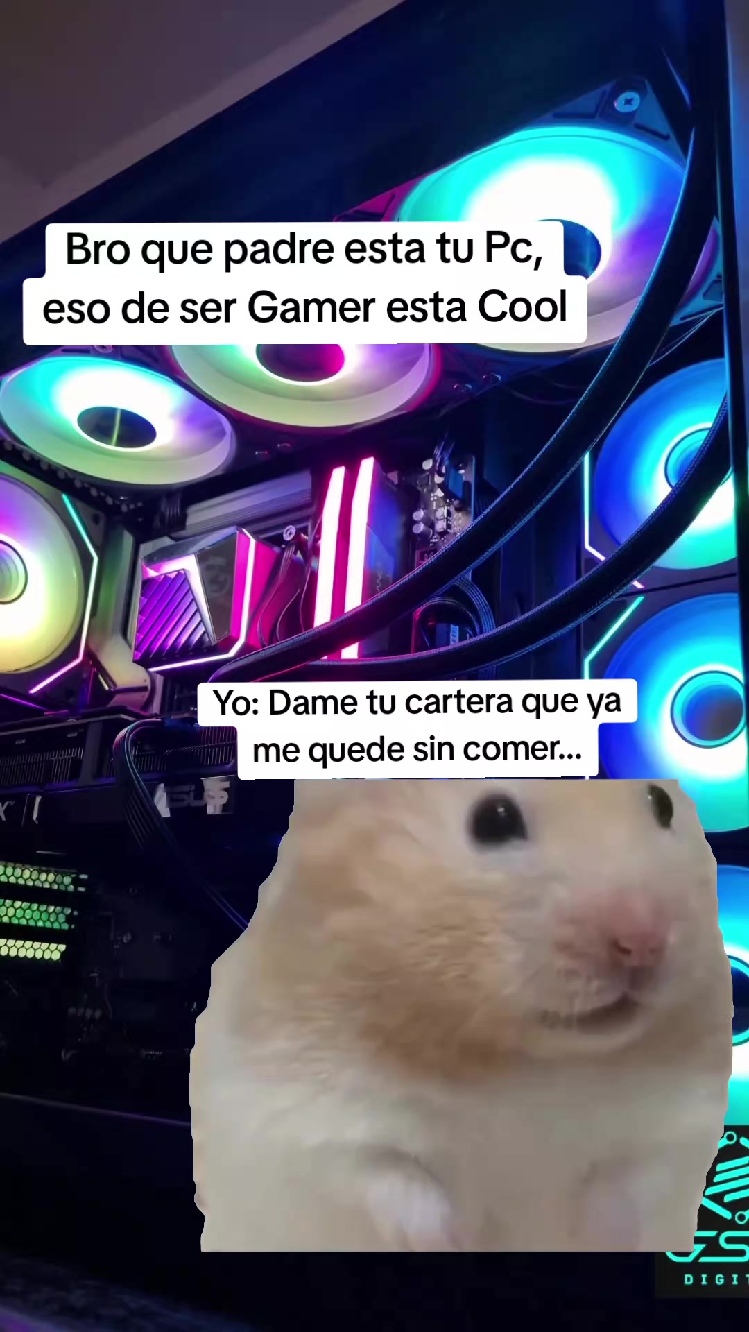 @Gsxdigital | Tecnología