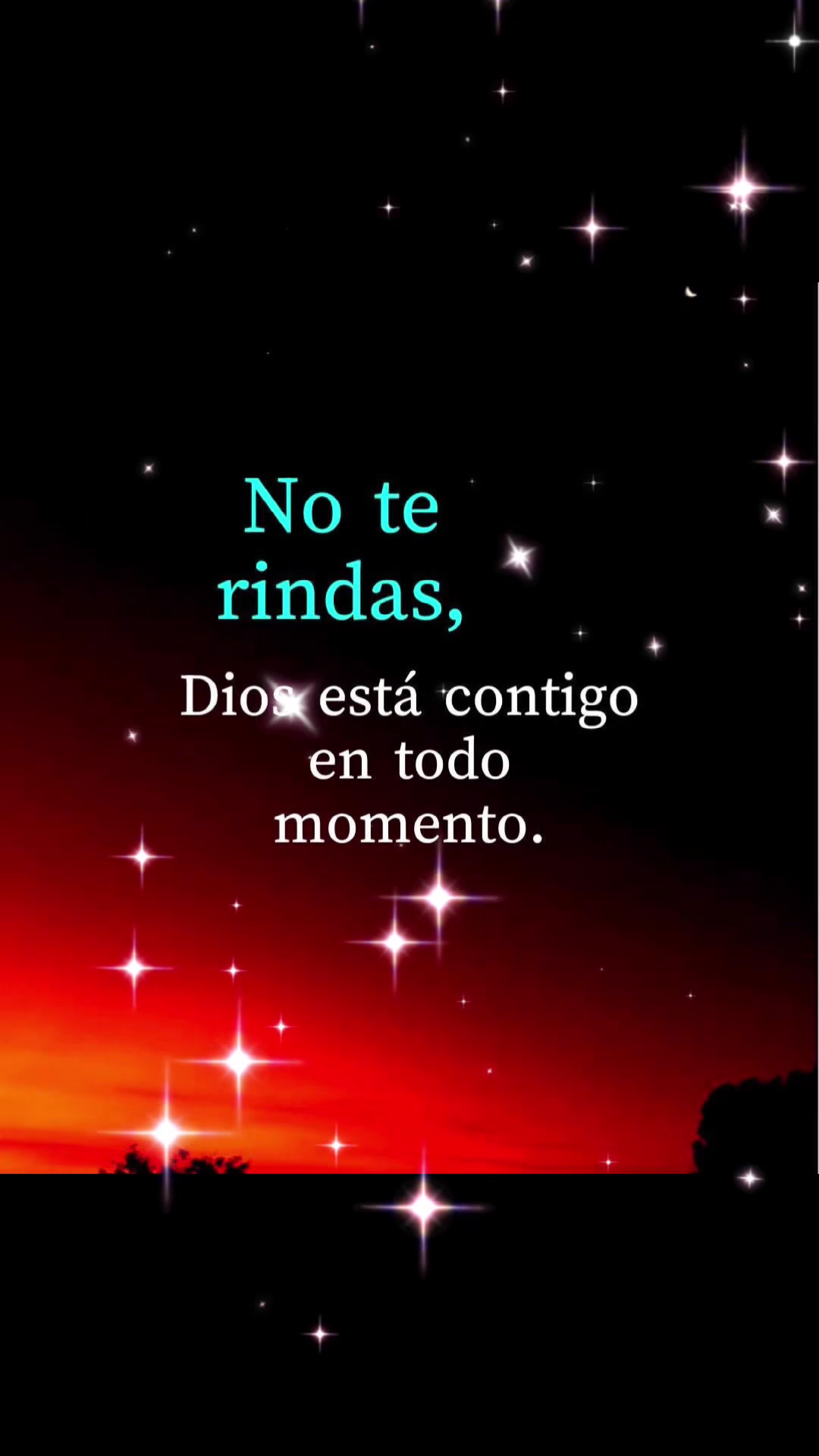 @Issamorales6907