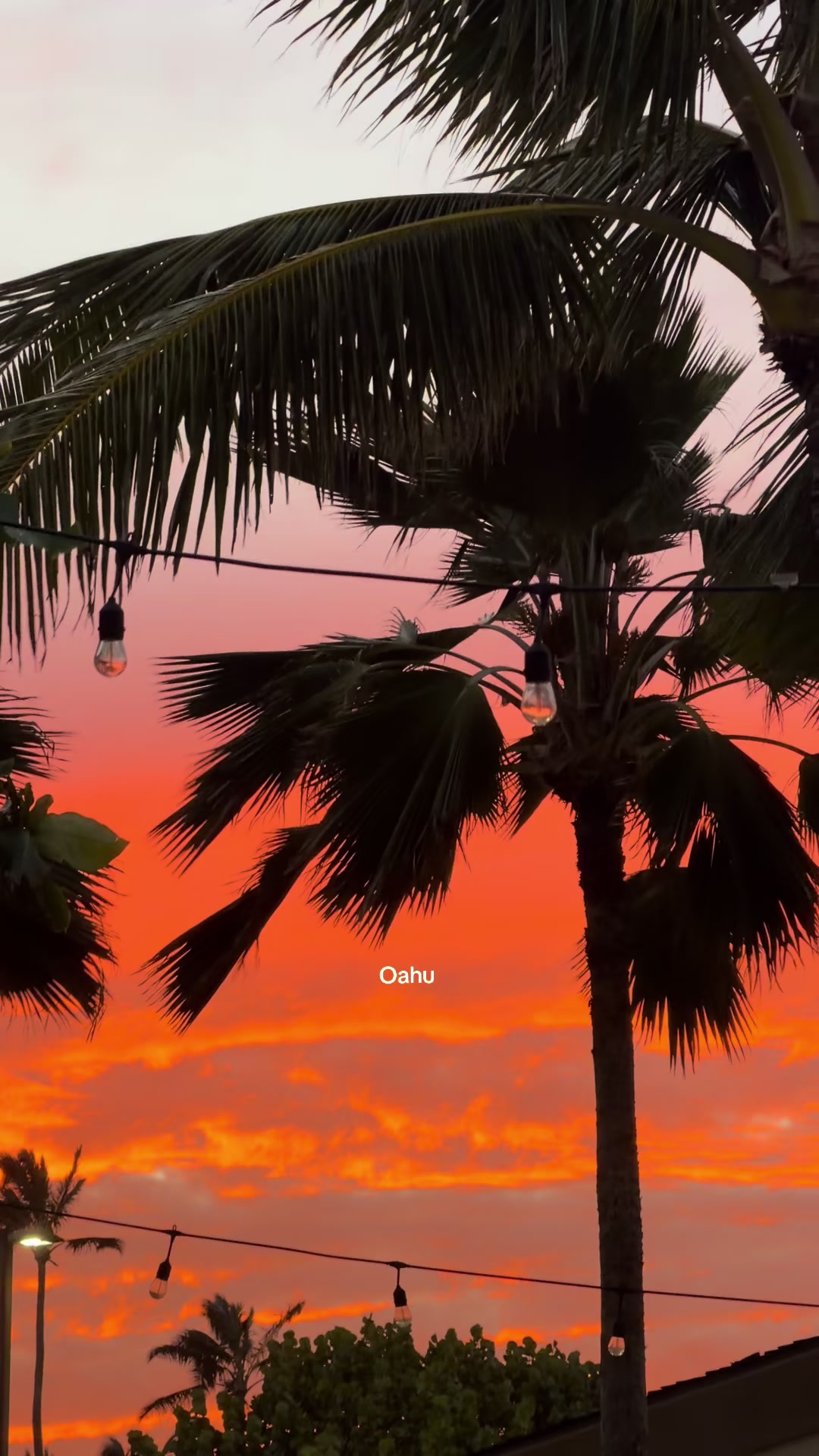 @Uilani ๐