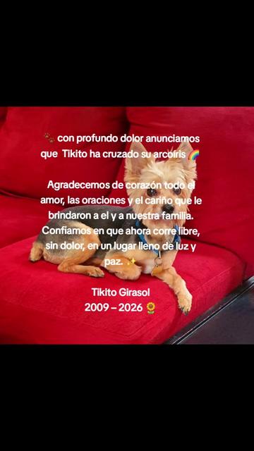 @mamá_girasol🌻