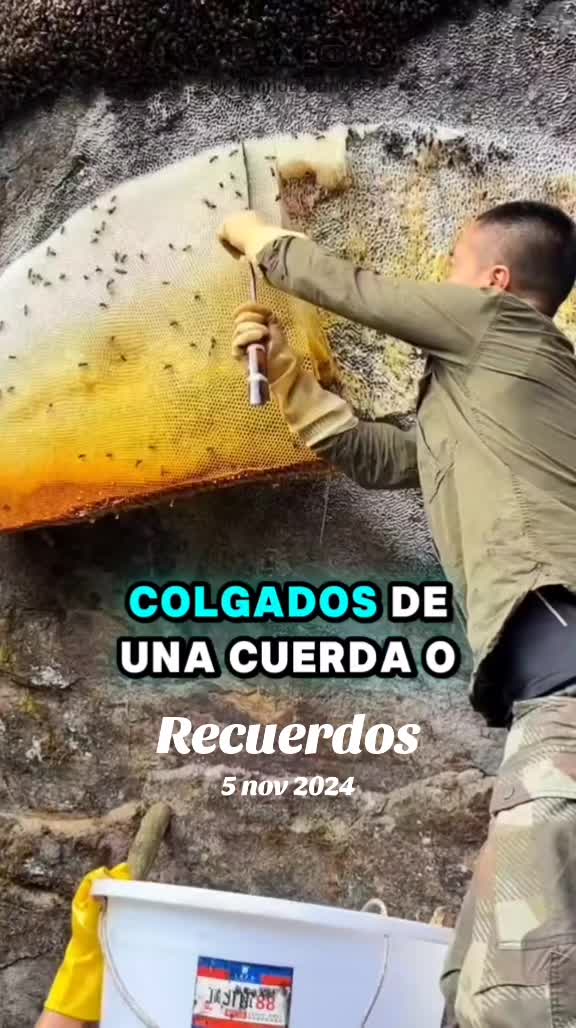 @Un Mundo Curioso