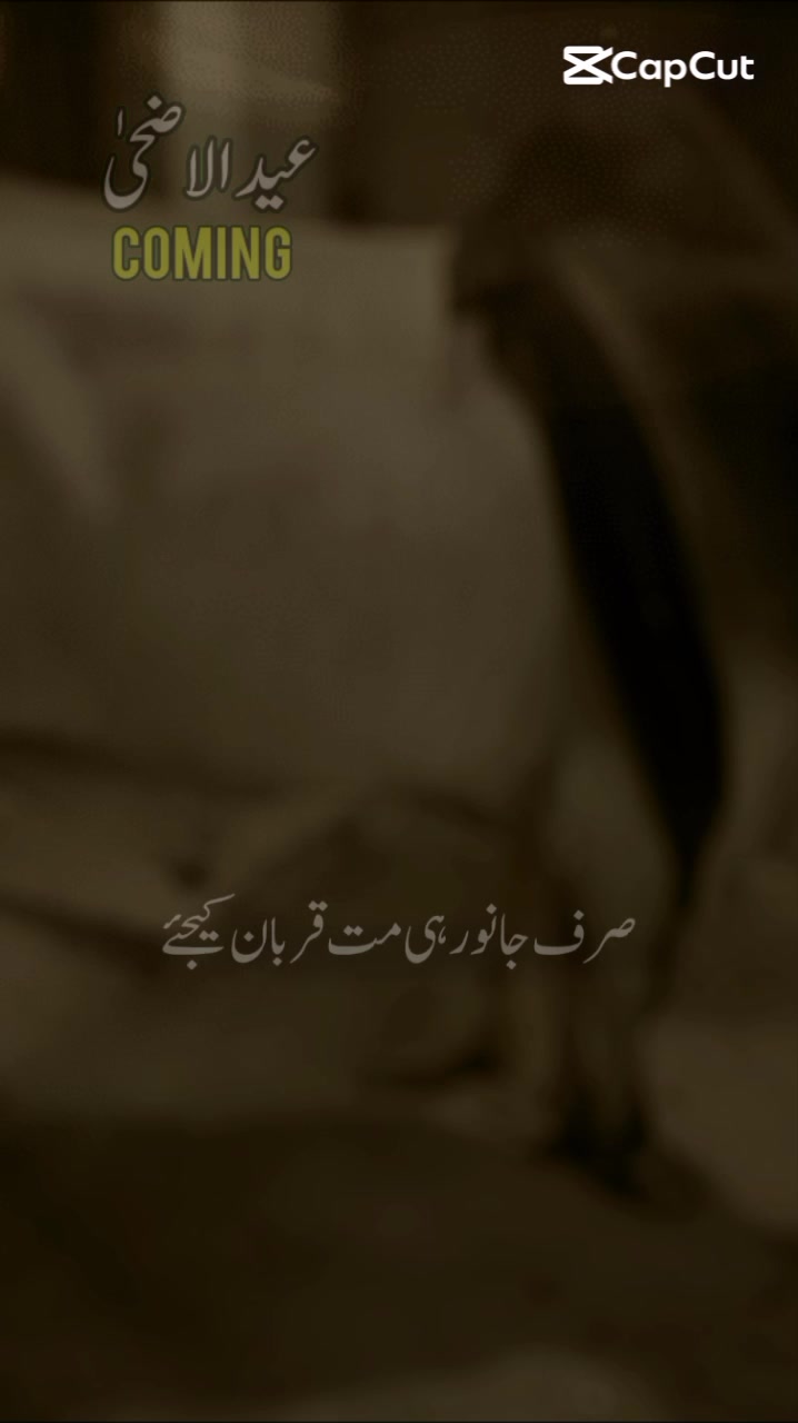 @Muhammad Hunain 🥰😘🥰
