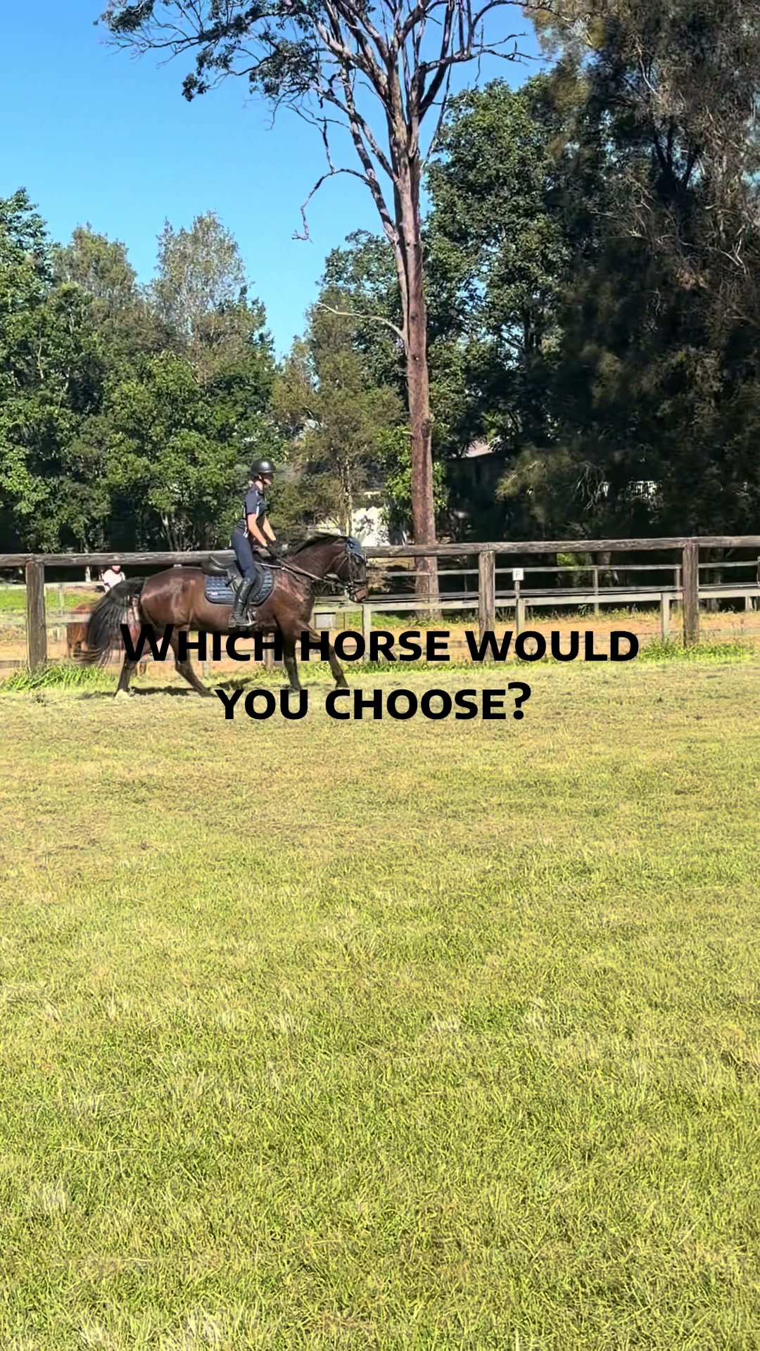 @kiara.grace.eq
