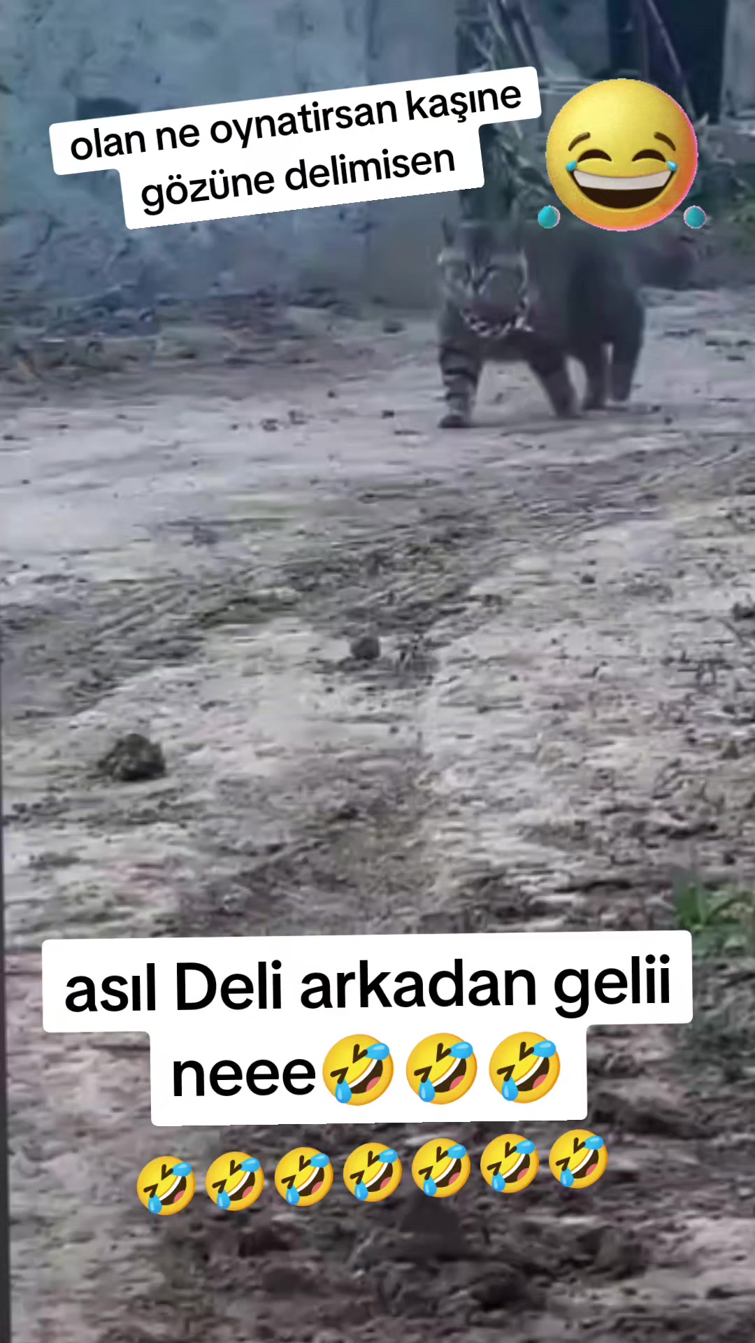 @gamzeli kızı 😊 minnoşlari