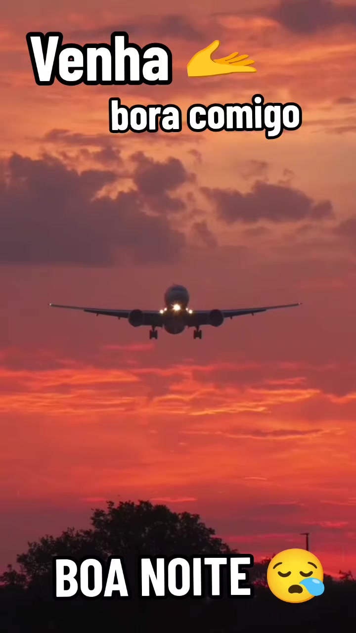 @Fátima Raio de luz 🐝🐞🦋
