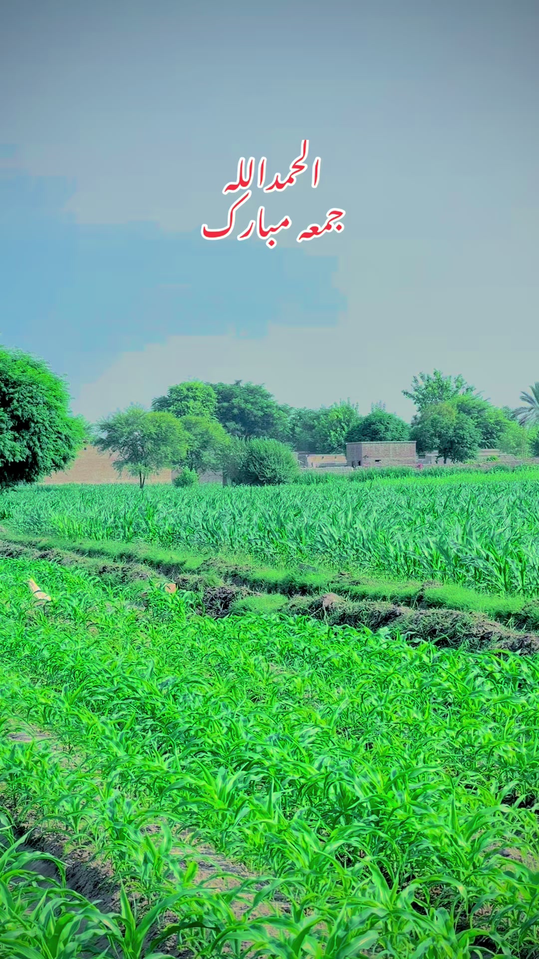 @Nadeem Balouch