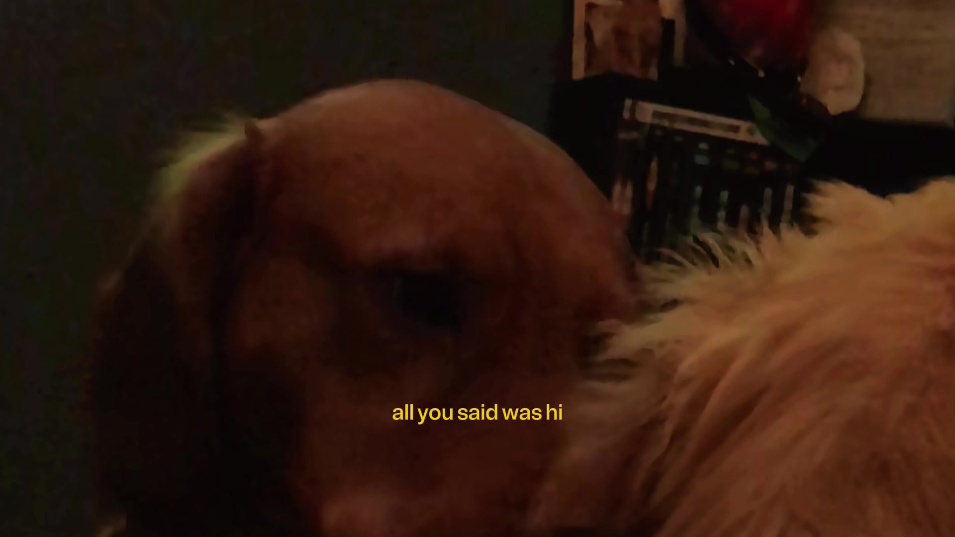 @Samantha Wilson
