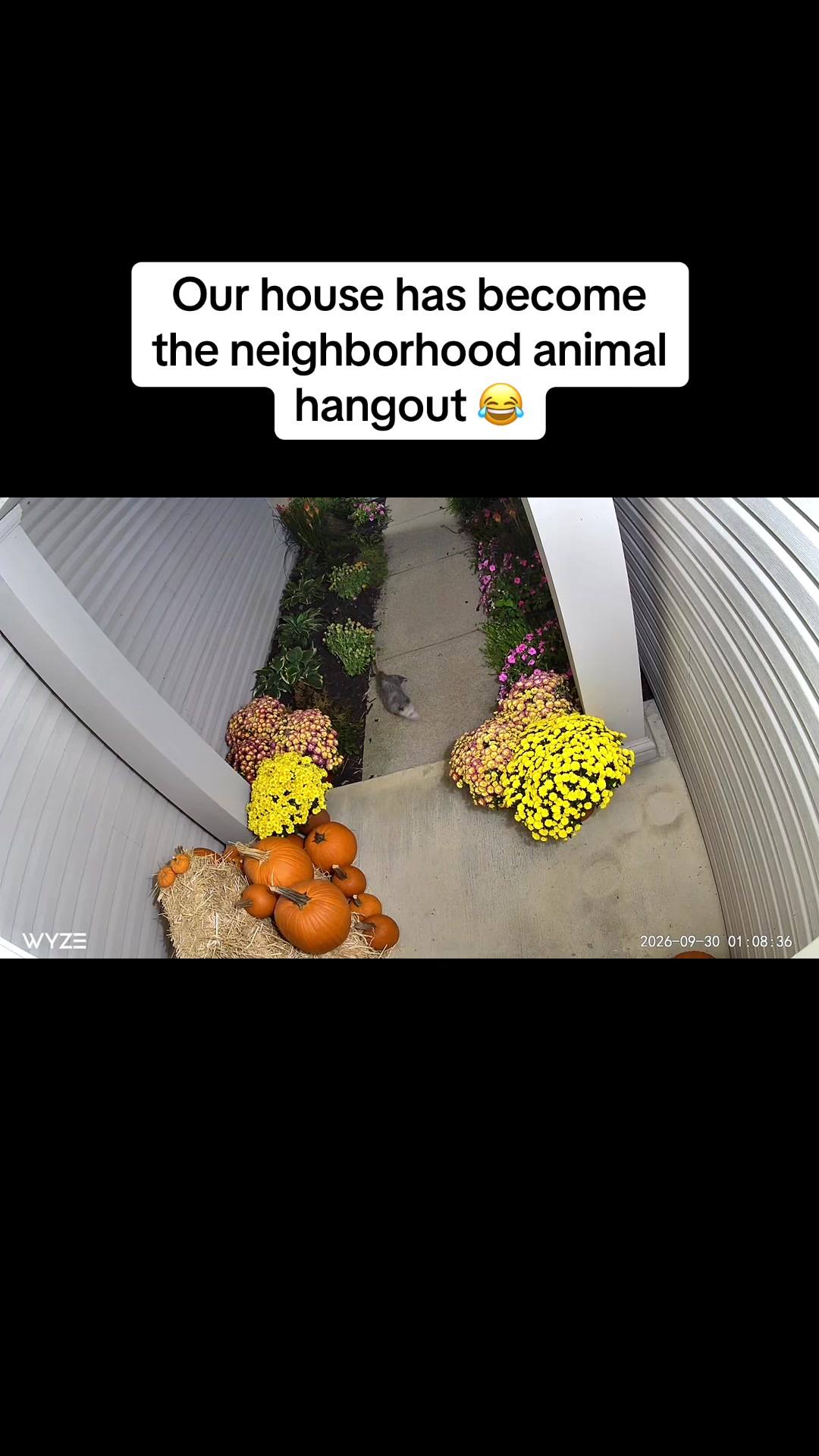 @ErinHessionWooton