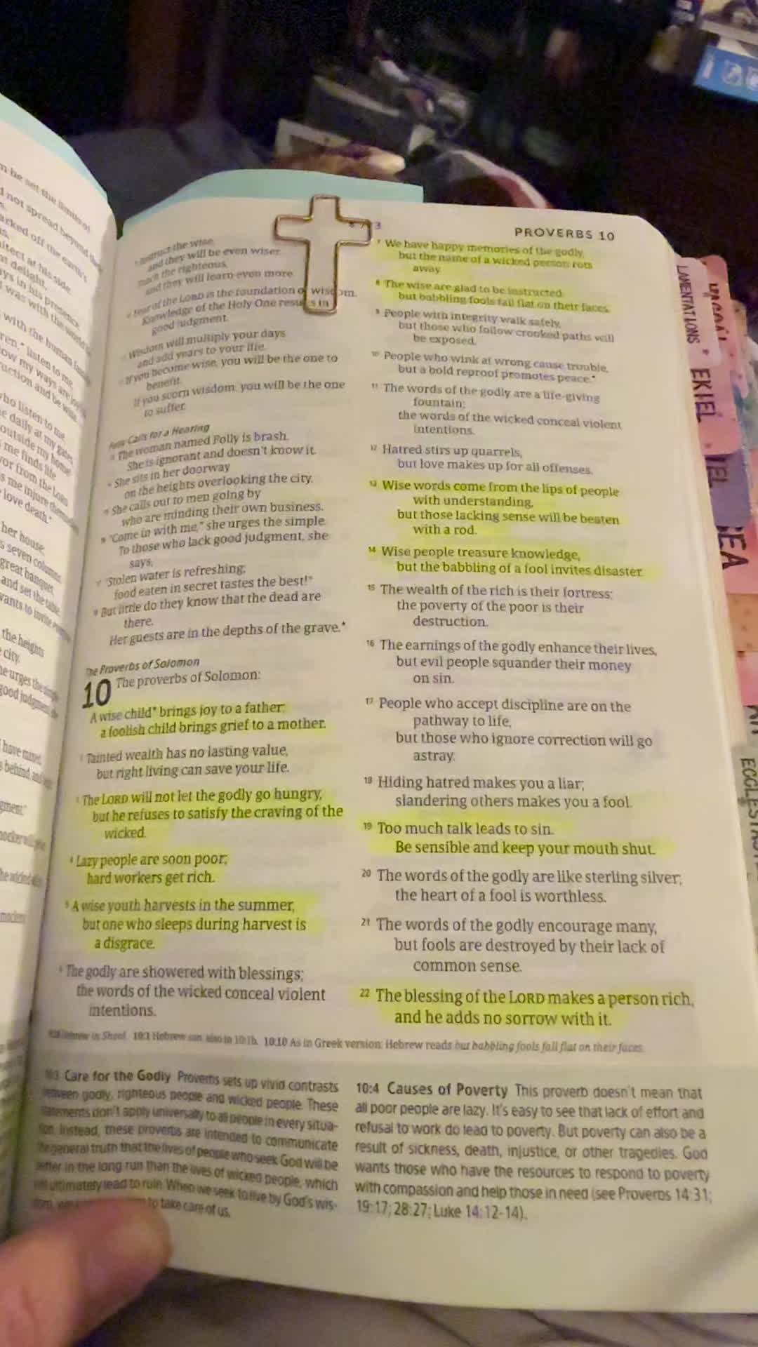 @Diana🦋❤️🐬🩵