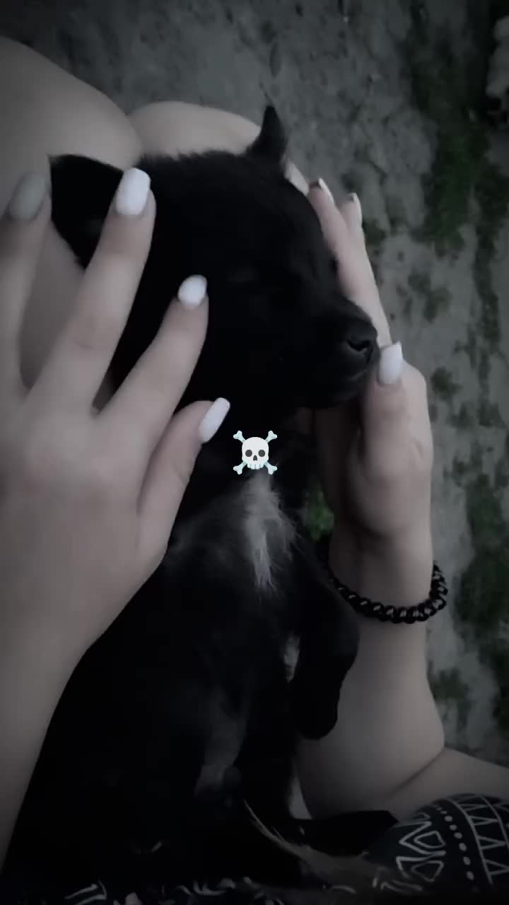 @тгк: домик чарли 💋