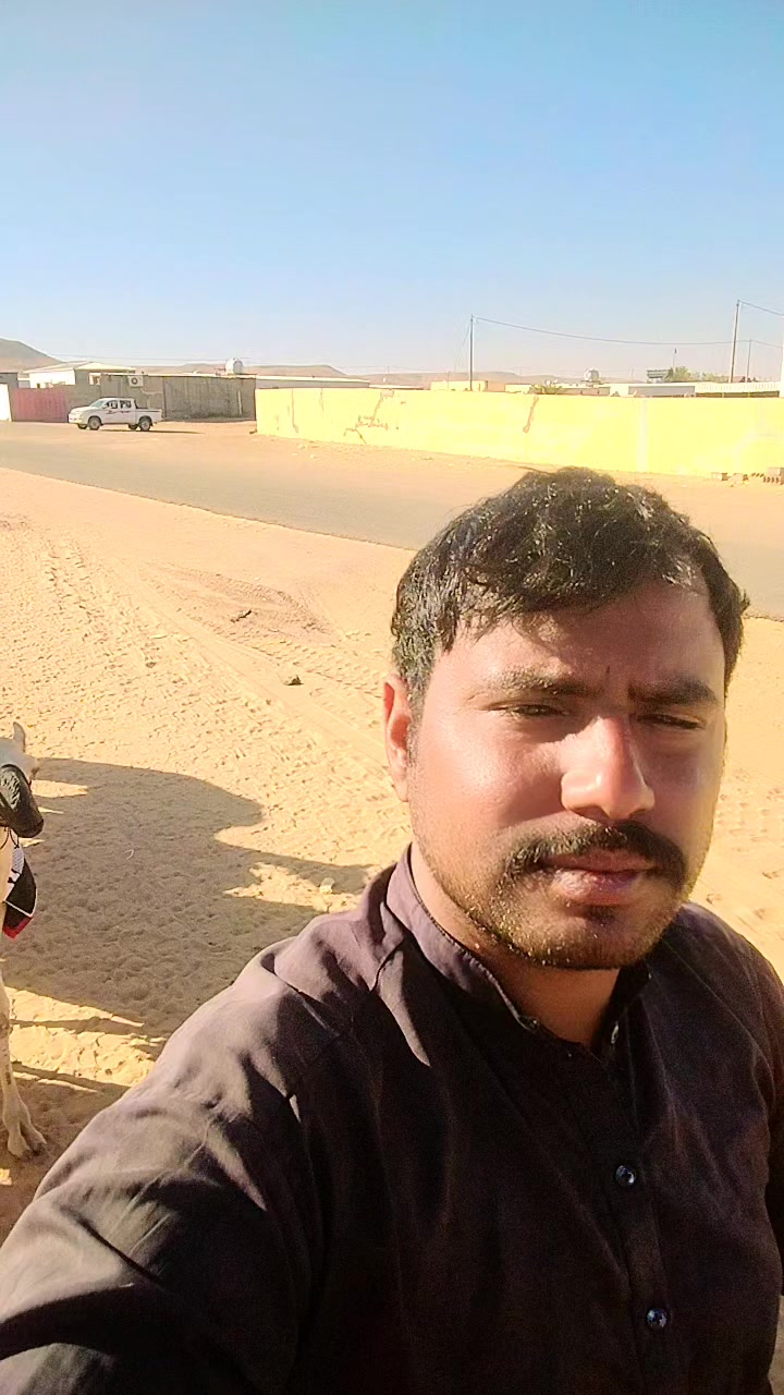 @sajjadalighamber